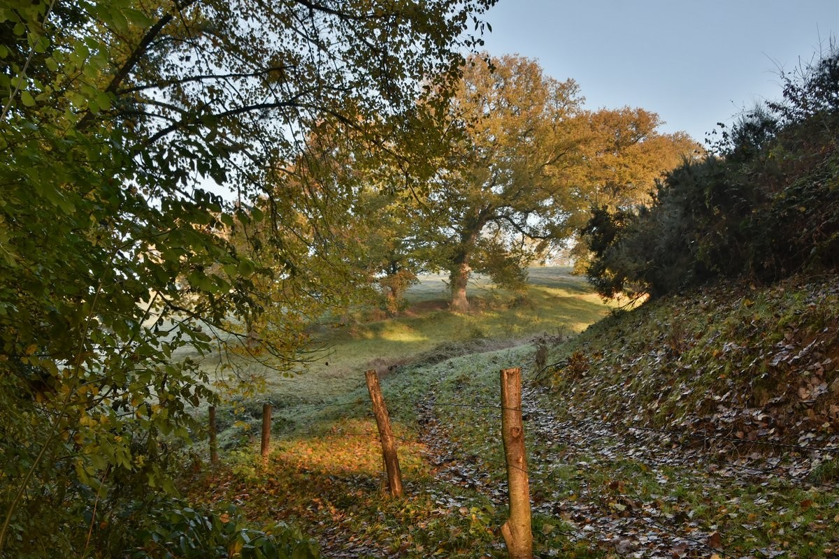 Dsc 9433 picc 1