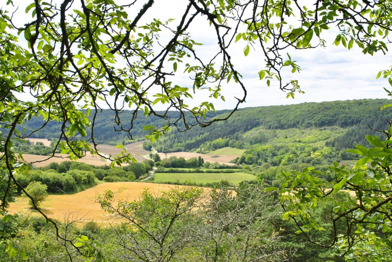 Bourgogne