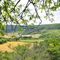 Bourgogne