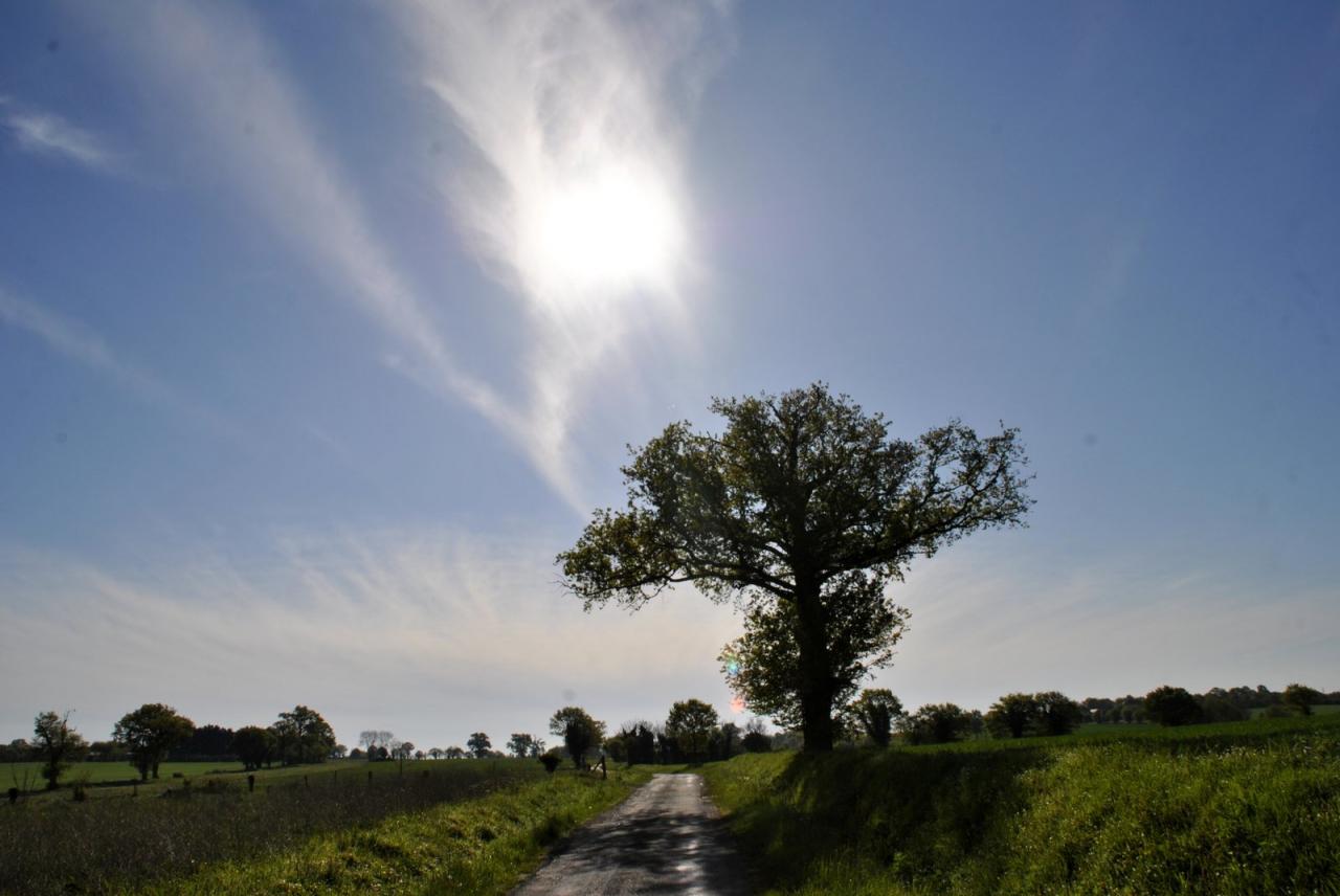 Campagne mayennaise