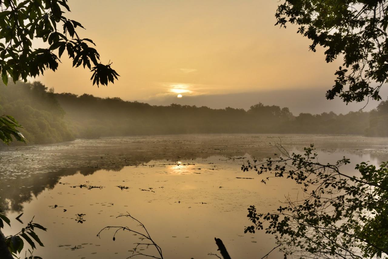 _DSC0011