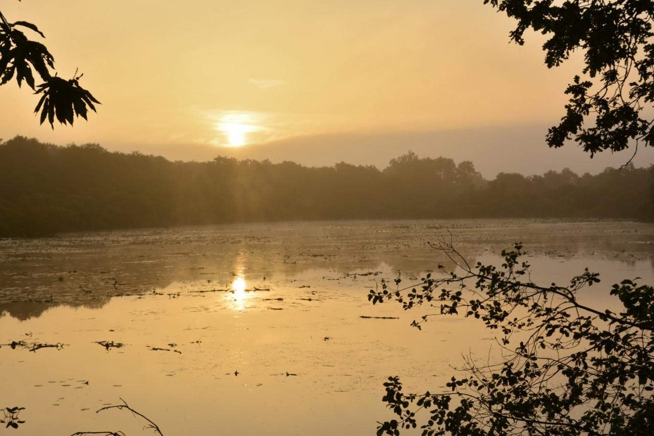 _DSC0012