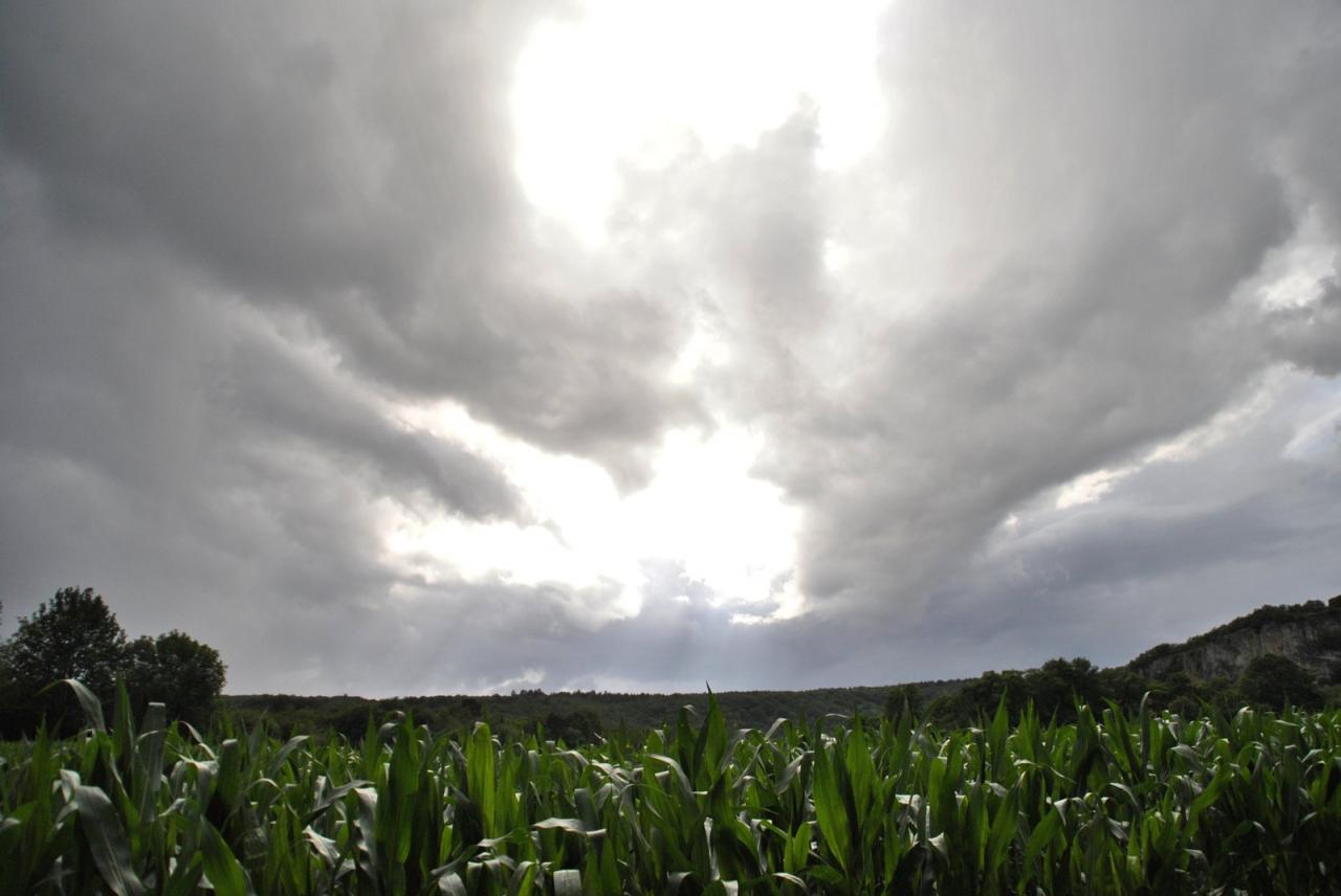 Campagne mayennaise