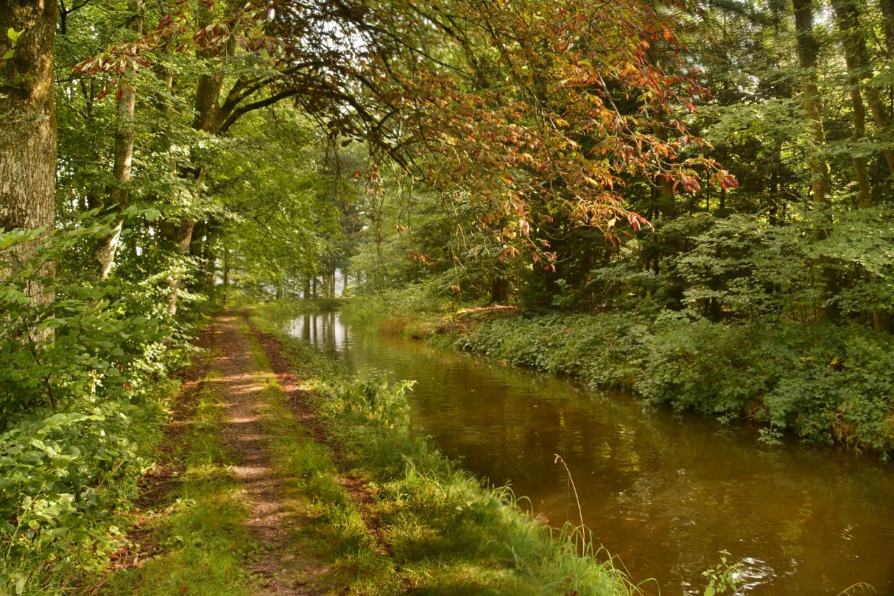 Au bord du canal 