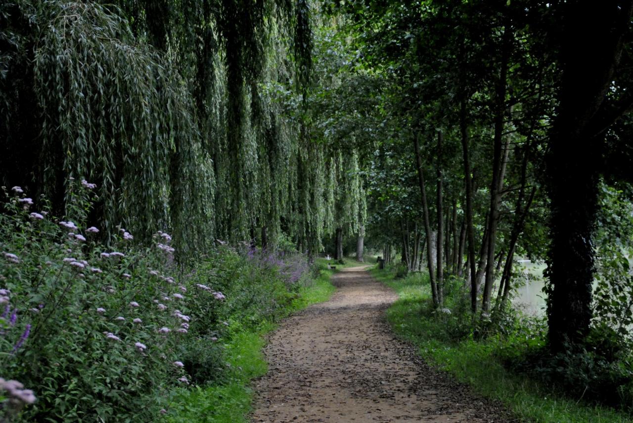 Campagne mayennaise