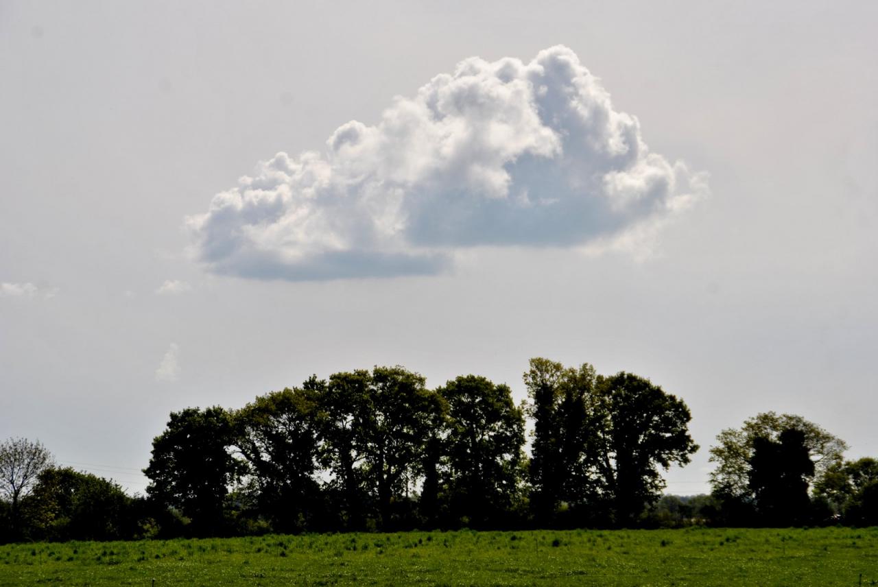 Campagne mayennaise