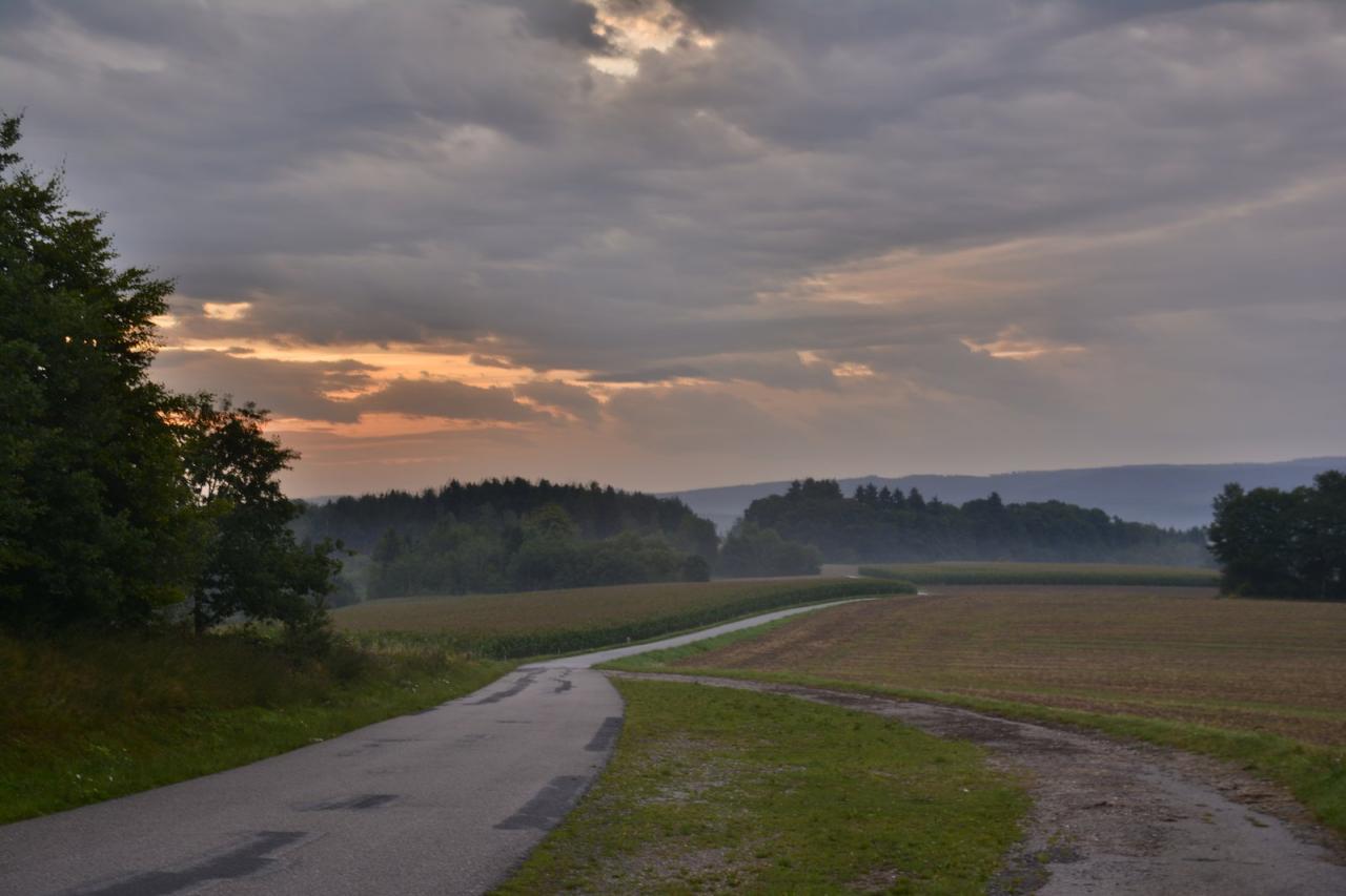 Très tôt le matin (Vosges)