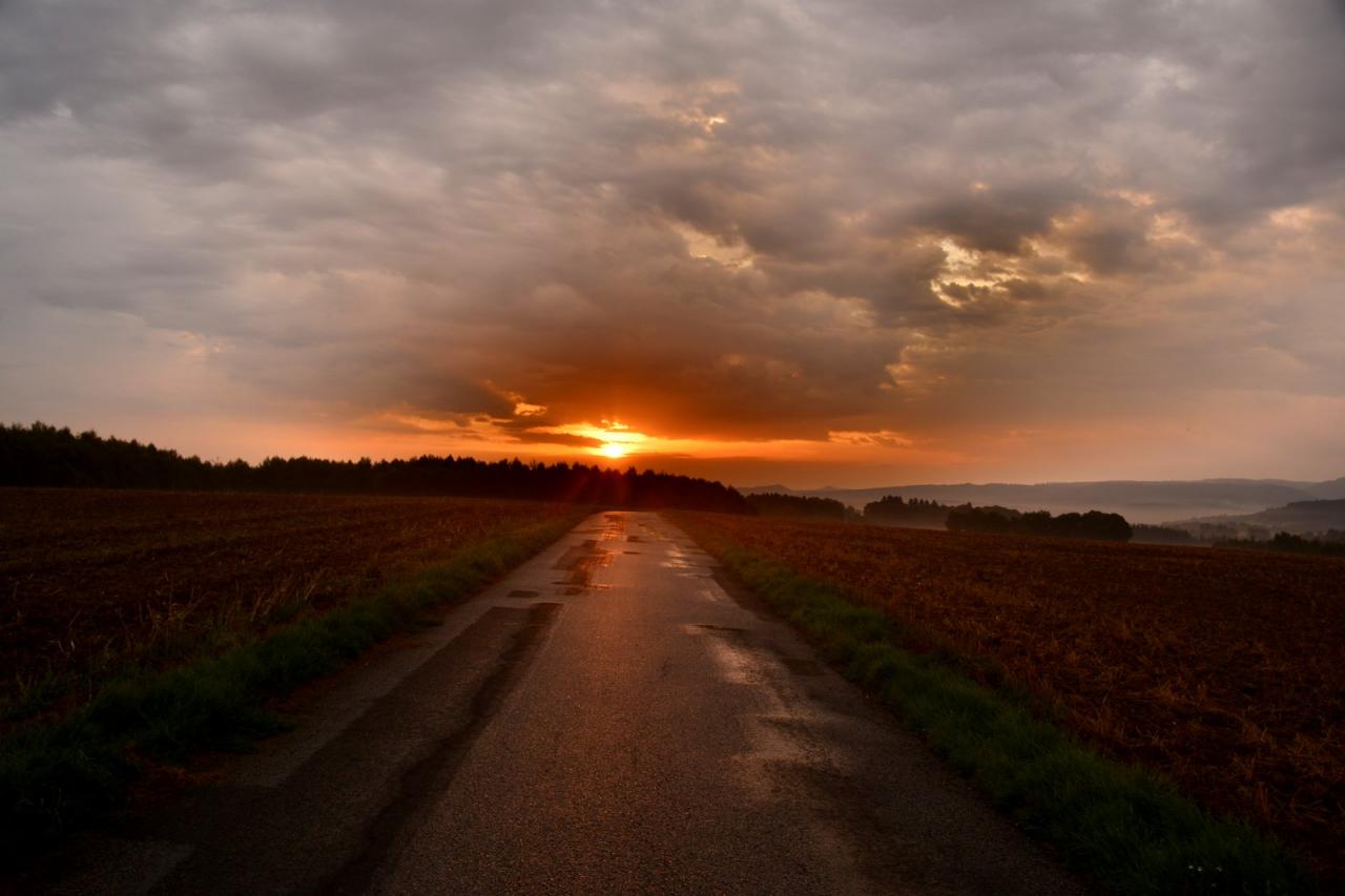 Très tôt le matin (Vosges)