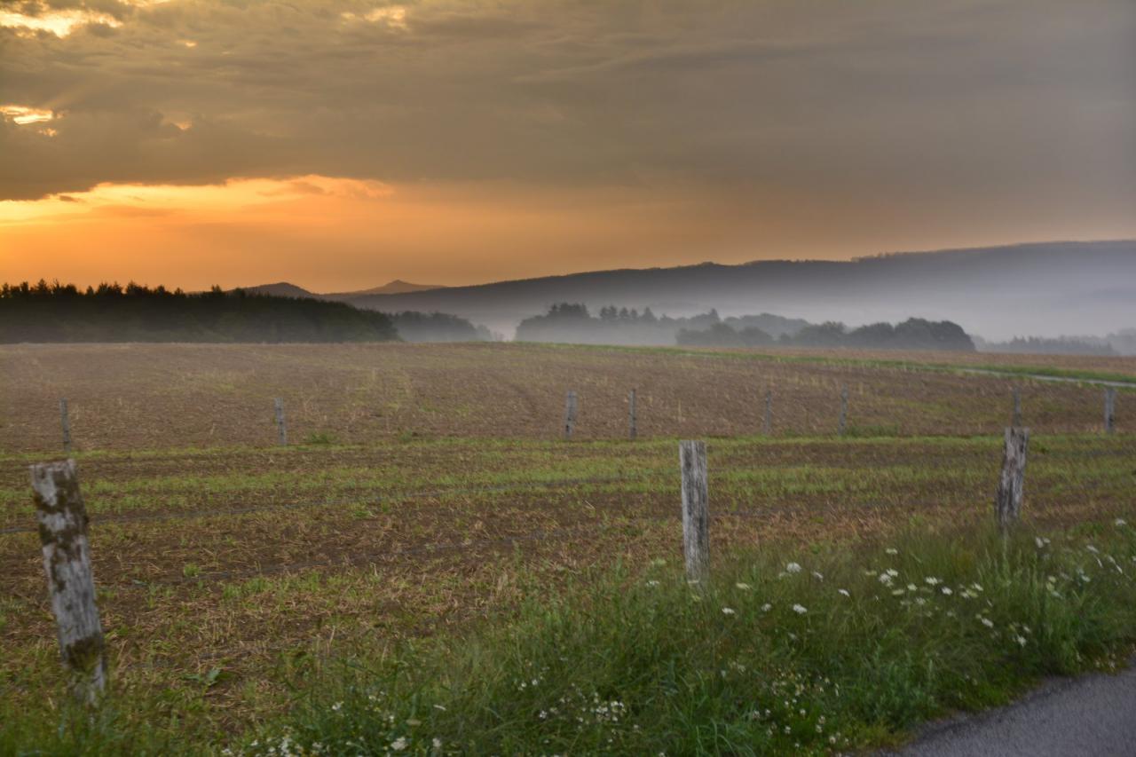 Très tôt le matin (Vosges)