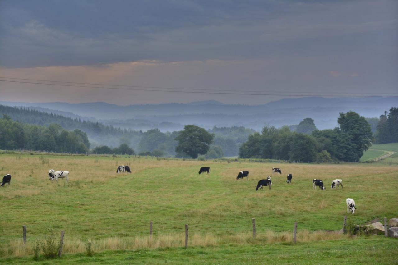 Très tôt le matin (Vosges)