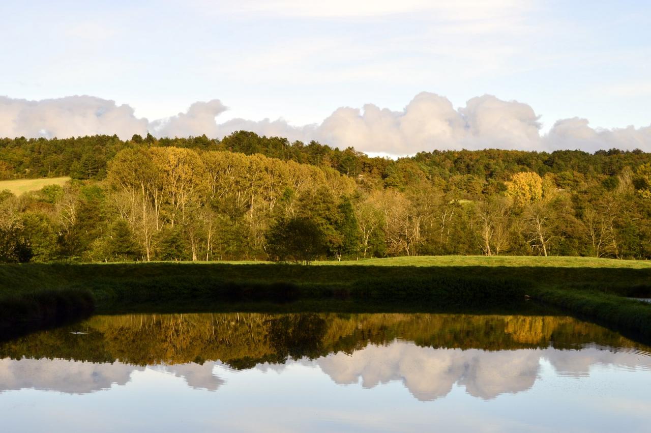 Reflets de Gaïa