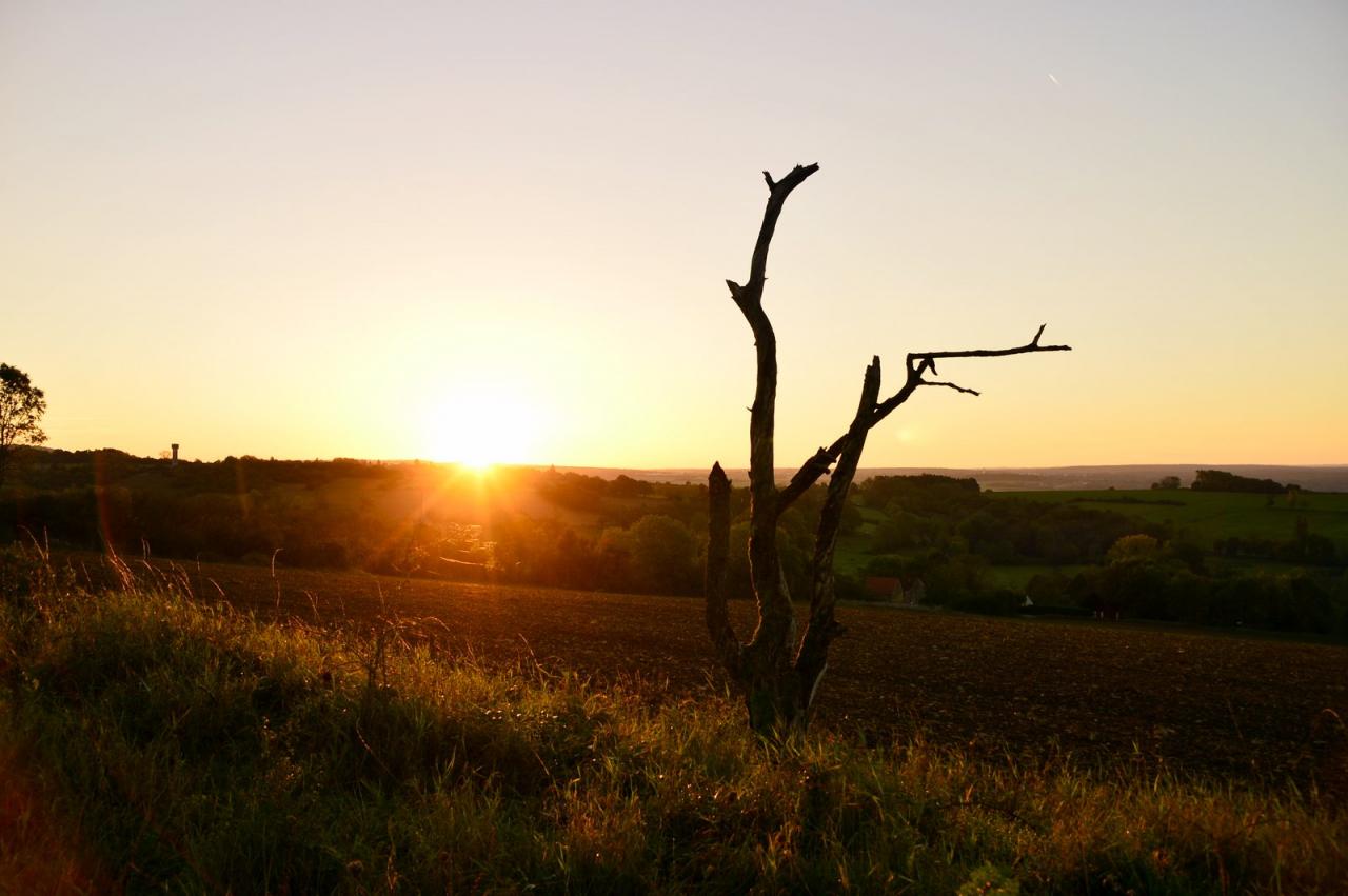 En Bourgogne