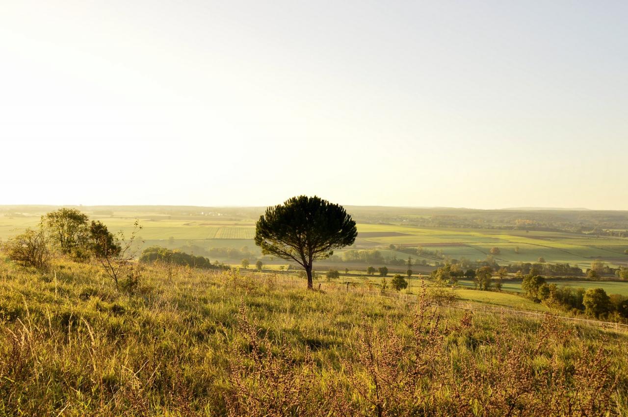 En Bourgogne