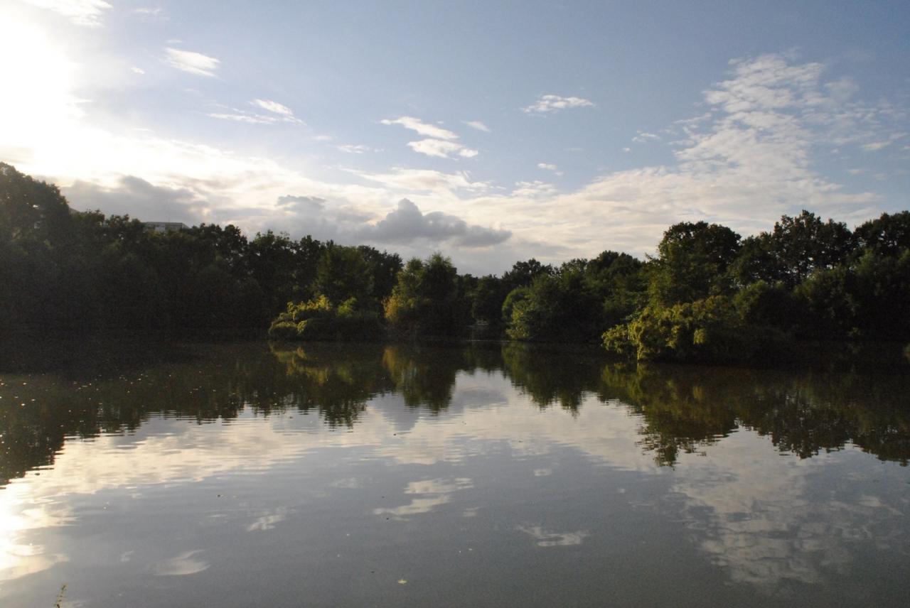 La Mayenne