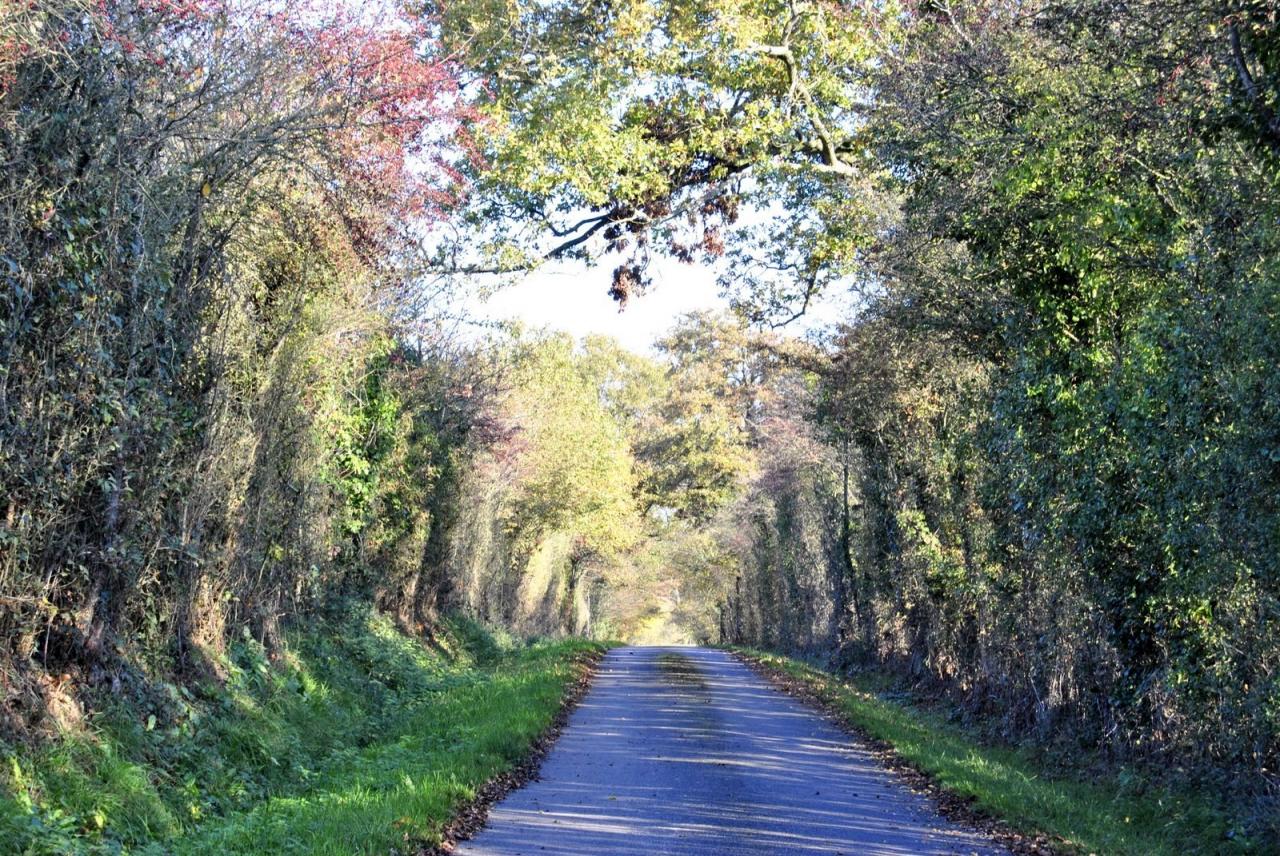 Campagne mayennaise