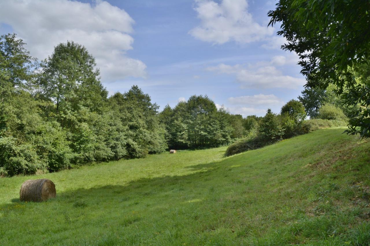 Campagne