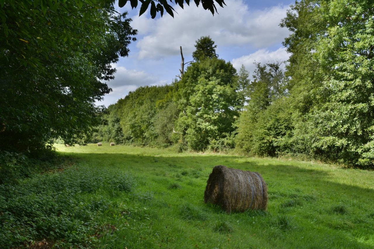 Campagne