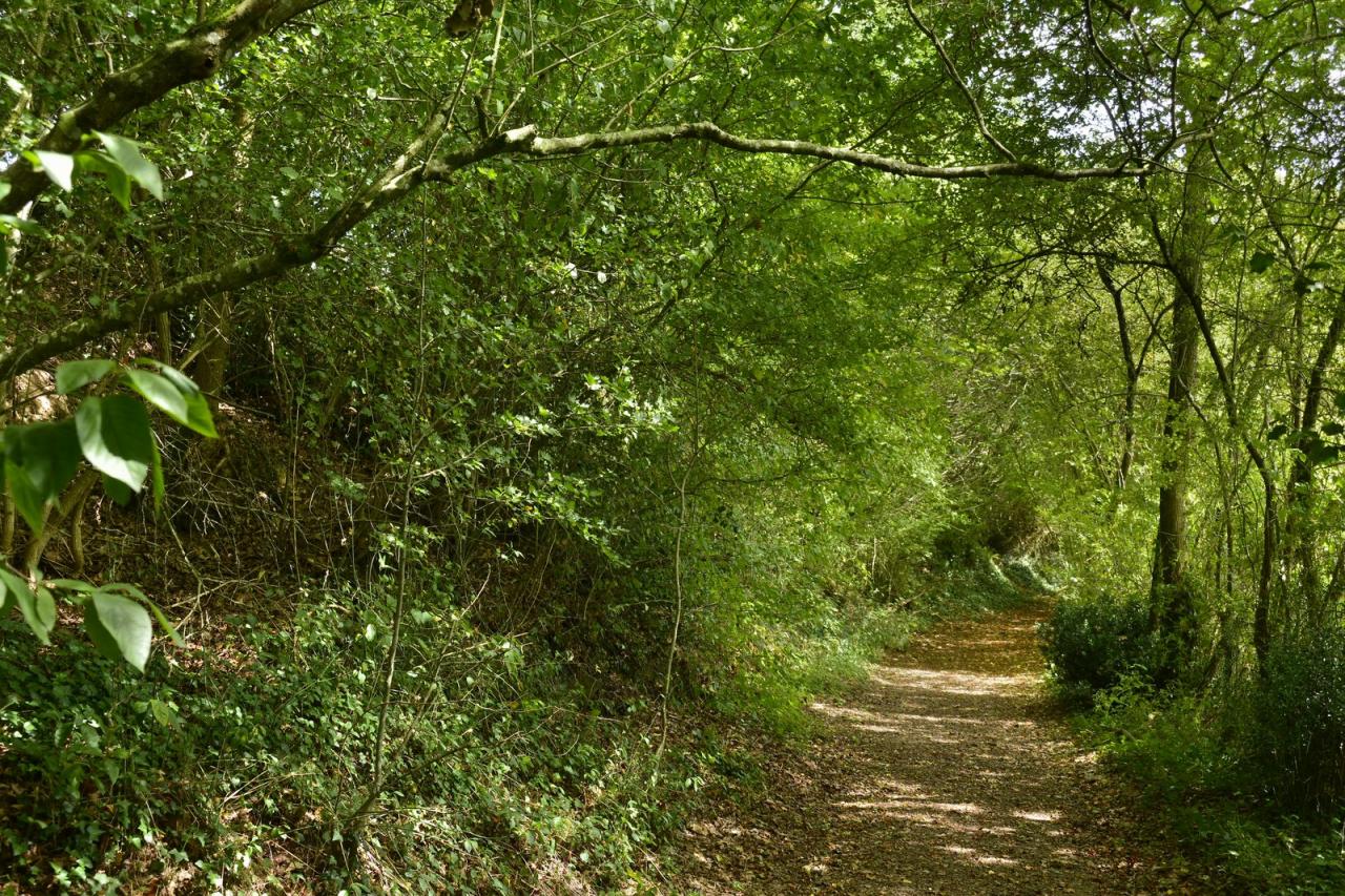 Campagne