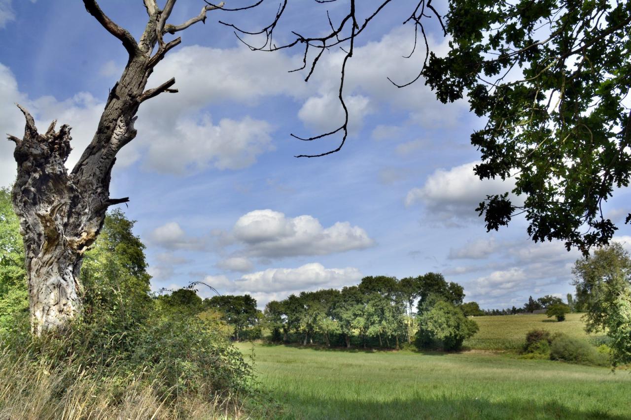 Campagne
