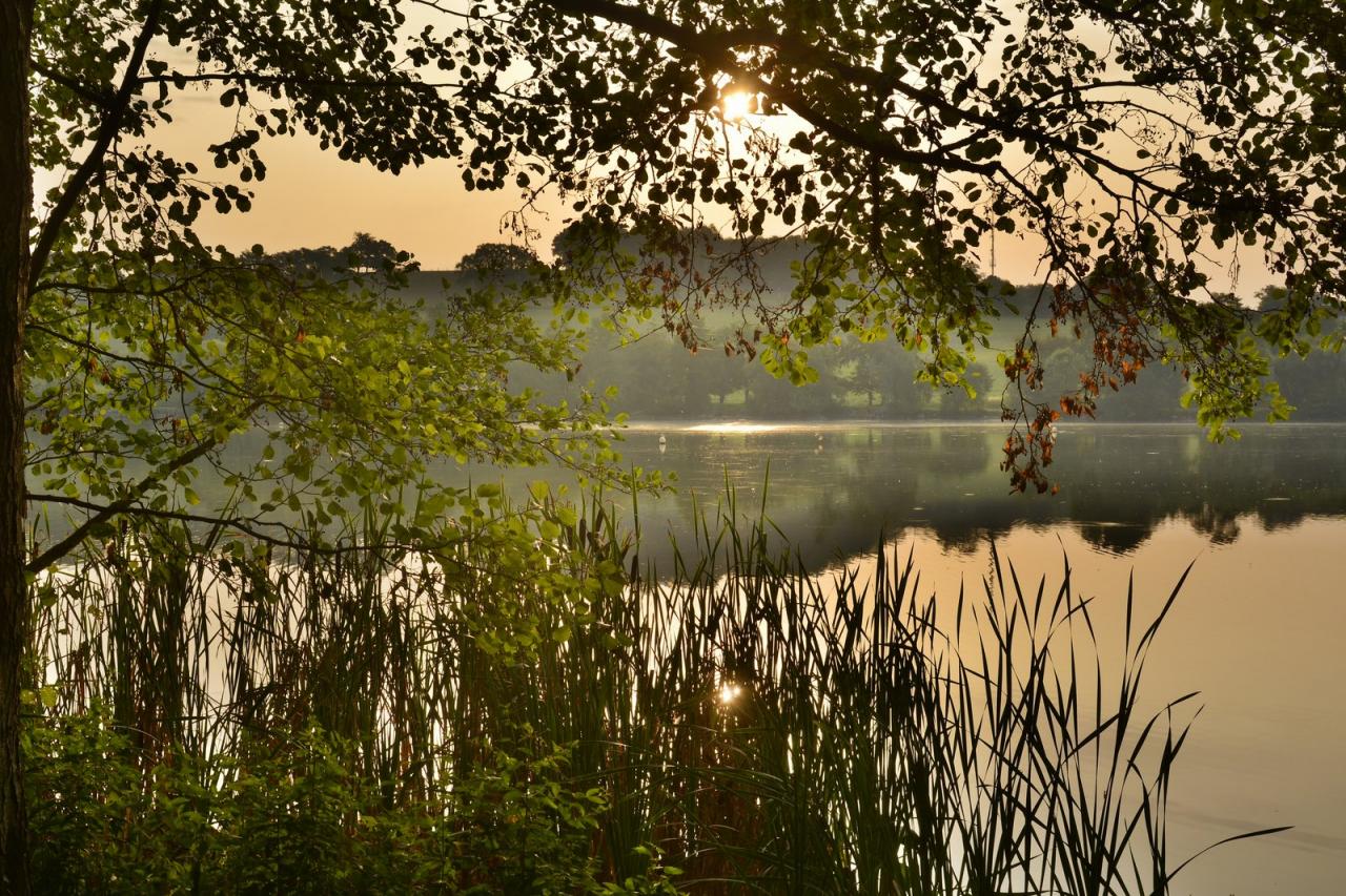 Palette de lumières