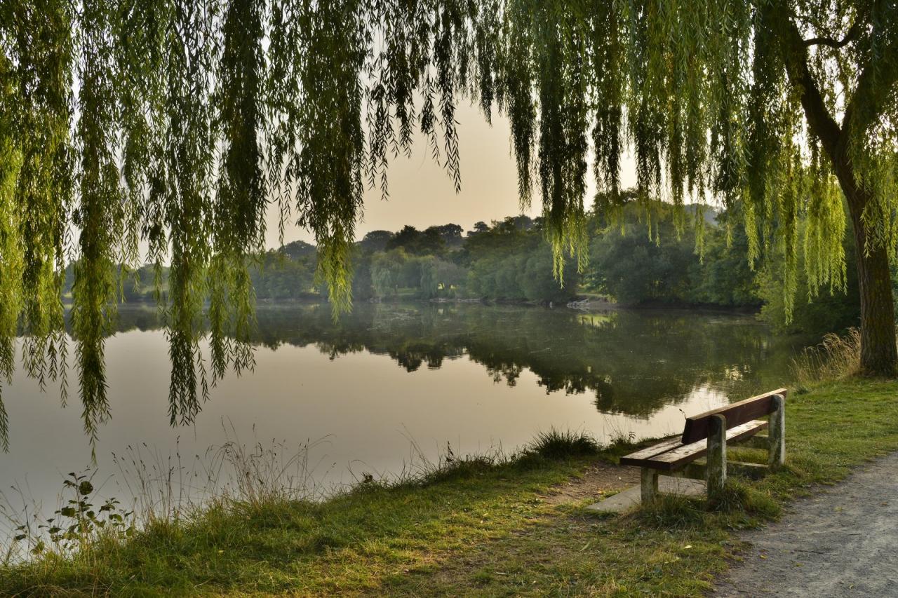 Etang de Changé