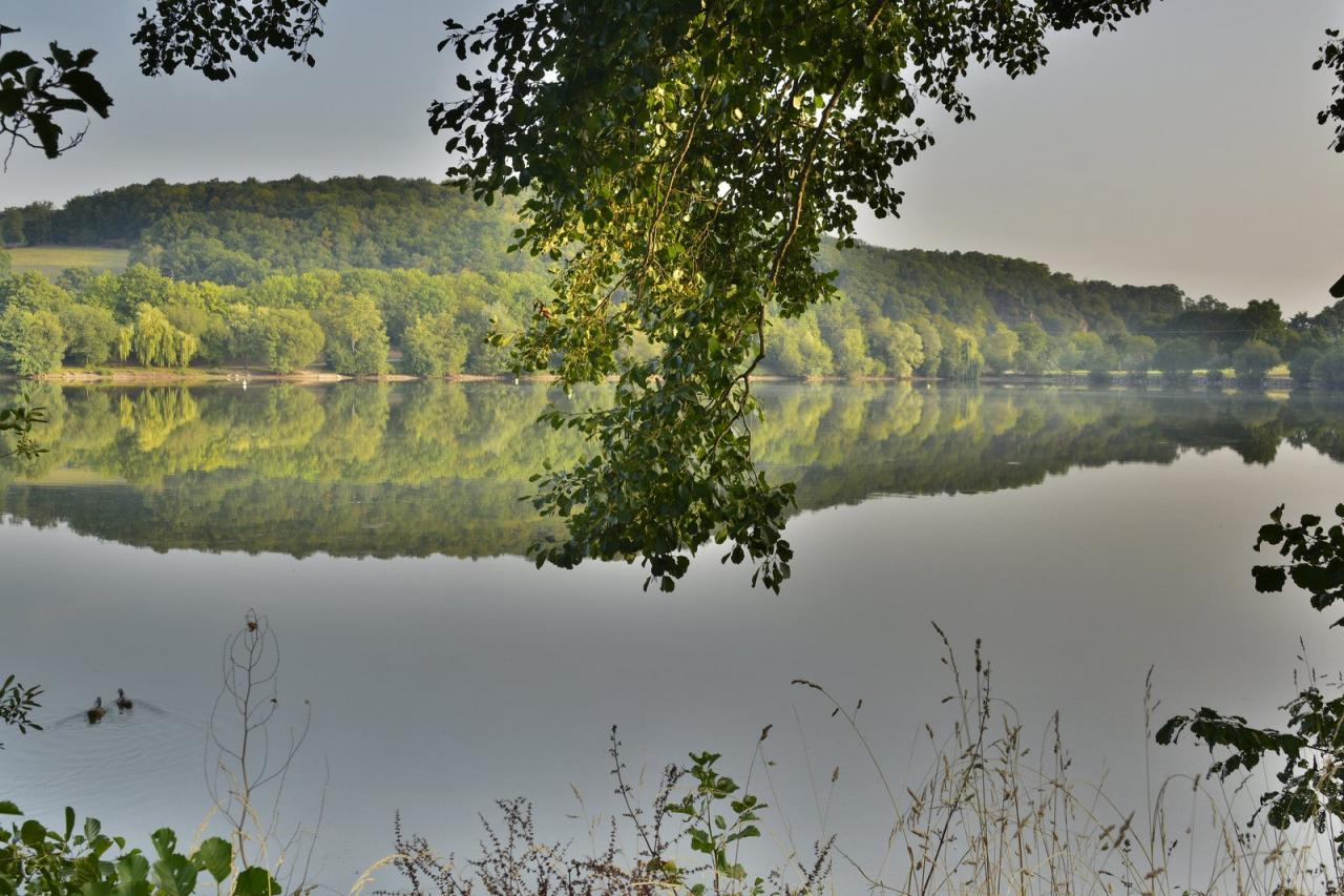 Etang de Changé