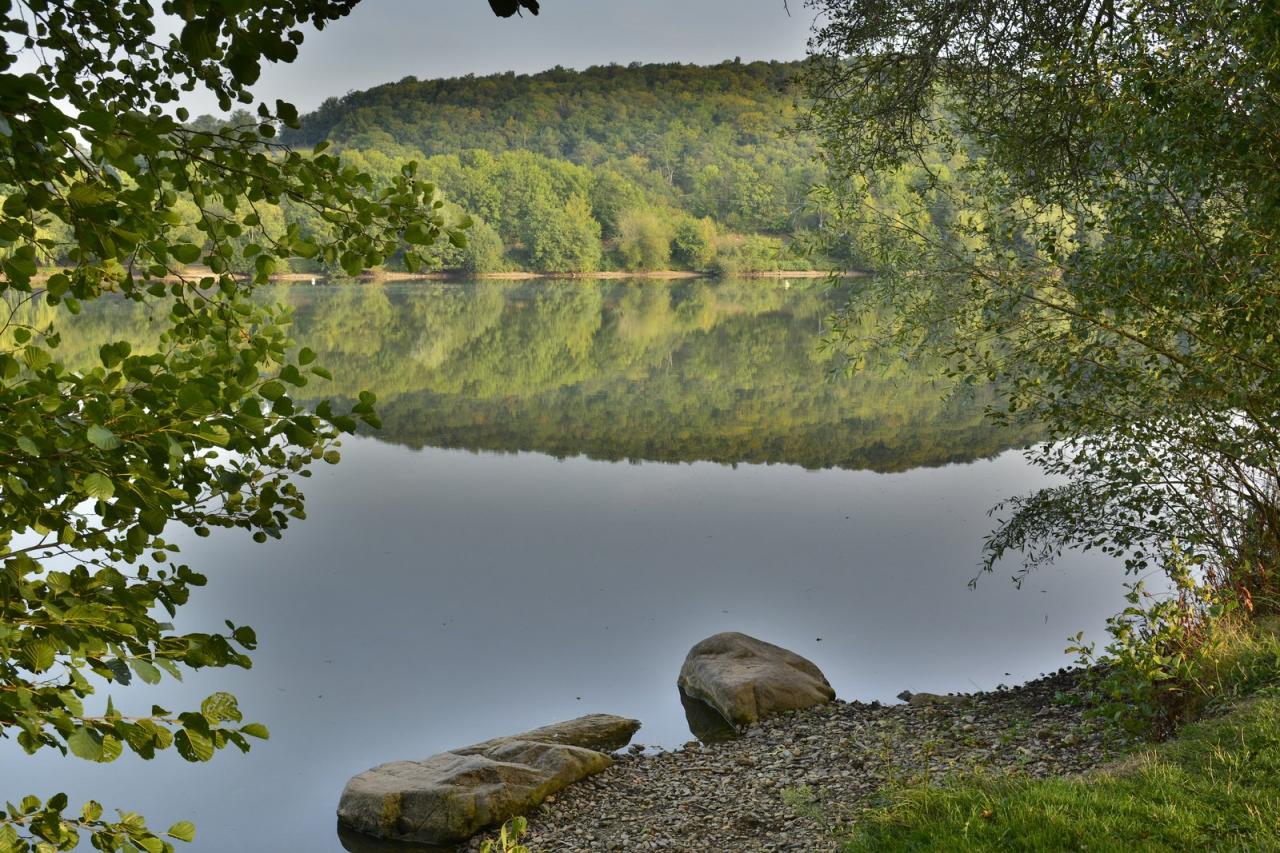 Etang de Changé