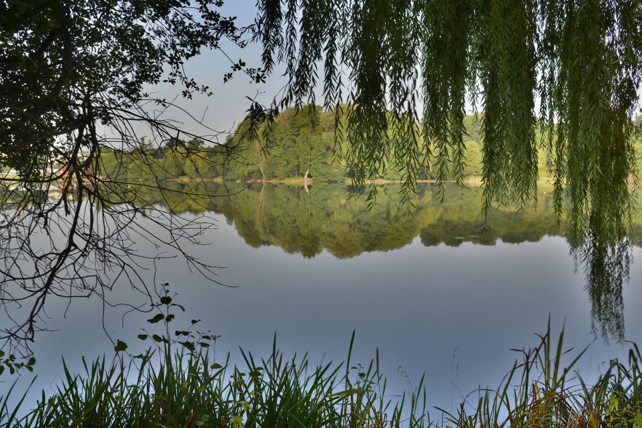 Etang de Changé