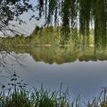 Etang de Changé