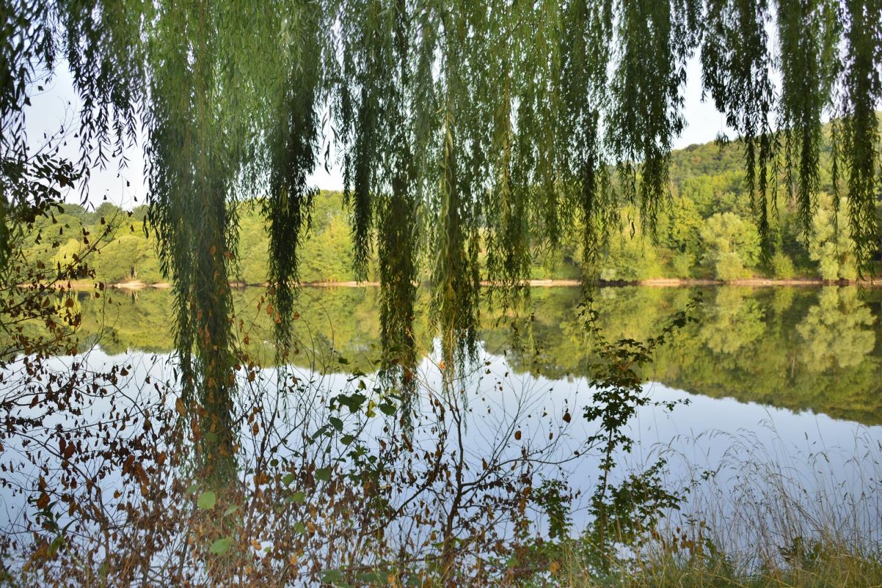 Etang de Changé