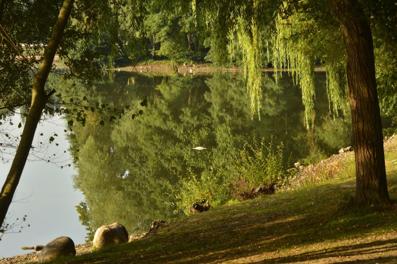 Etang de Changé
