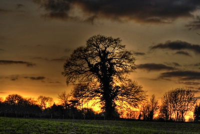 HDR (Campagne mayennaise)