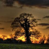 HDR (Campagne mayennaise)