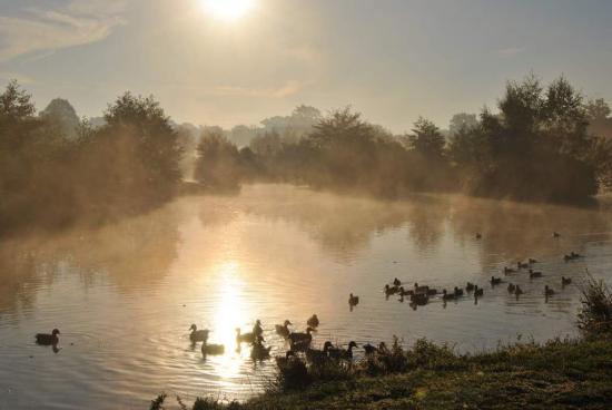 Etang de St Nicolas