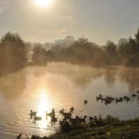 Etang de St Nicolas