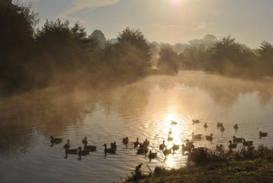 Etang de St Nicolas