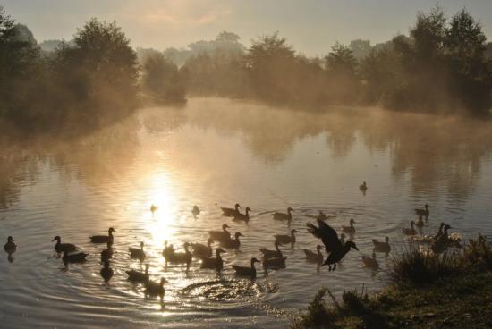 Etang de St Nicolas