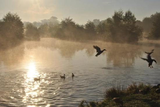 Etang de St Nicolas