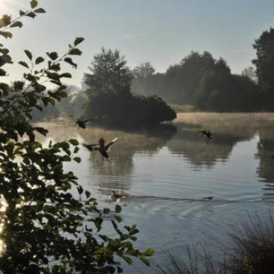 Etang de St Nicolas à Laval