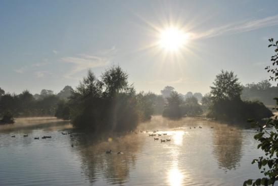 Etang de St Nicolas septembre 2010 08 heures du matin