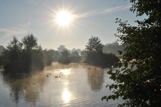 Etang de St Nicolas septembre 2010 08 heures du matin