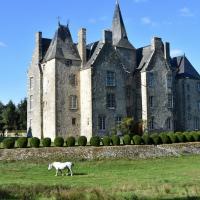 Château de Bourgon