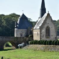 Château de Bourgon