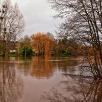 Rivière Mayenne