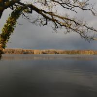 Dsc 0056 2