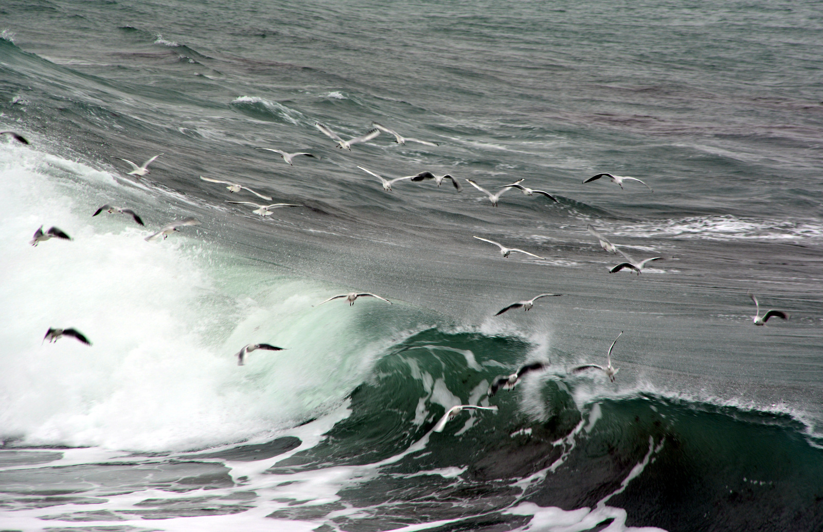 Dsc 129