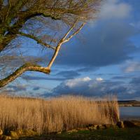 Mutche (Moselle)