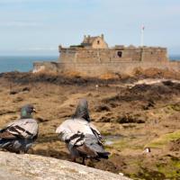 St Malo